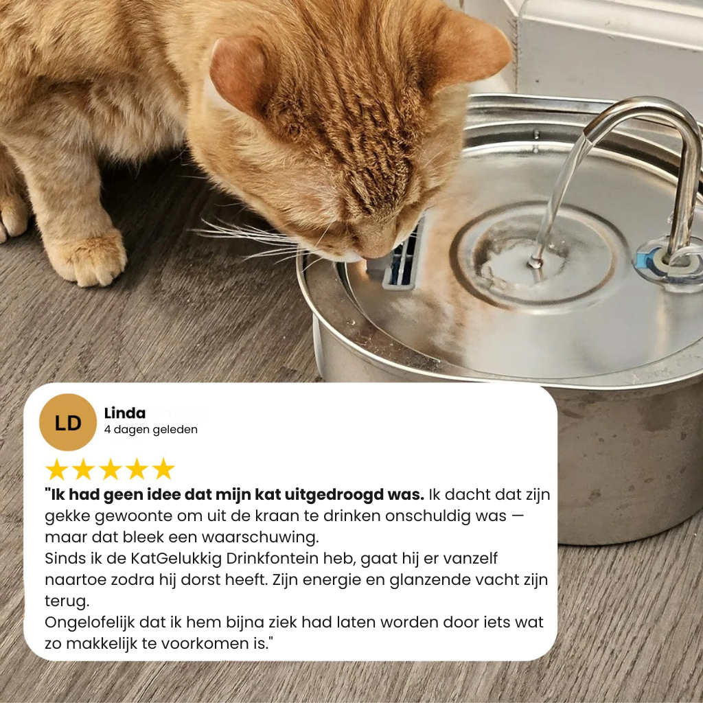 KatGelukkig – Premium Drinkfontein