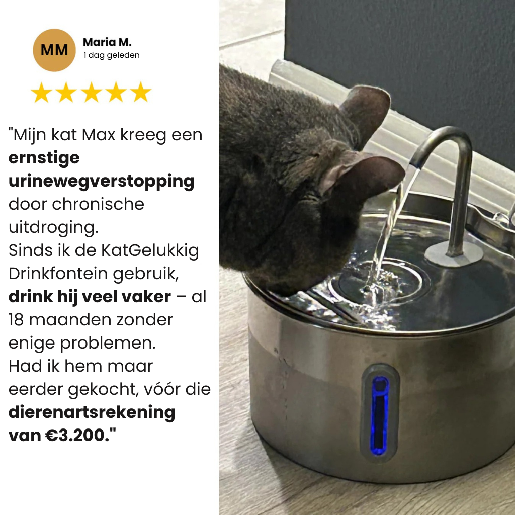 KatGelukkig – Premium Drinkfontein