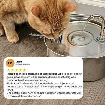 KatGelukkig – Premium Drinkfontein